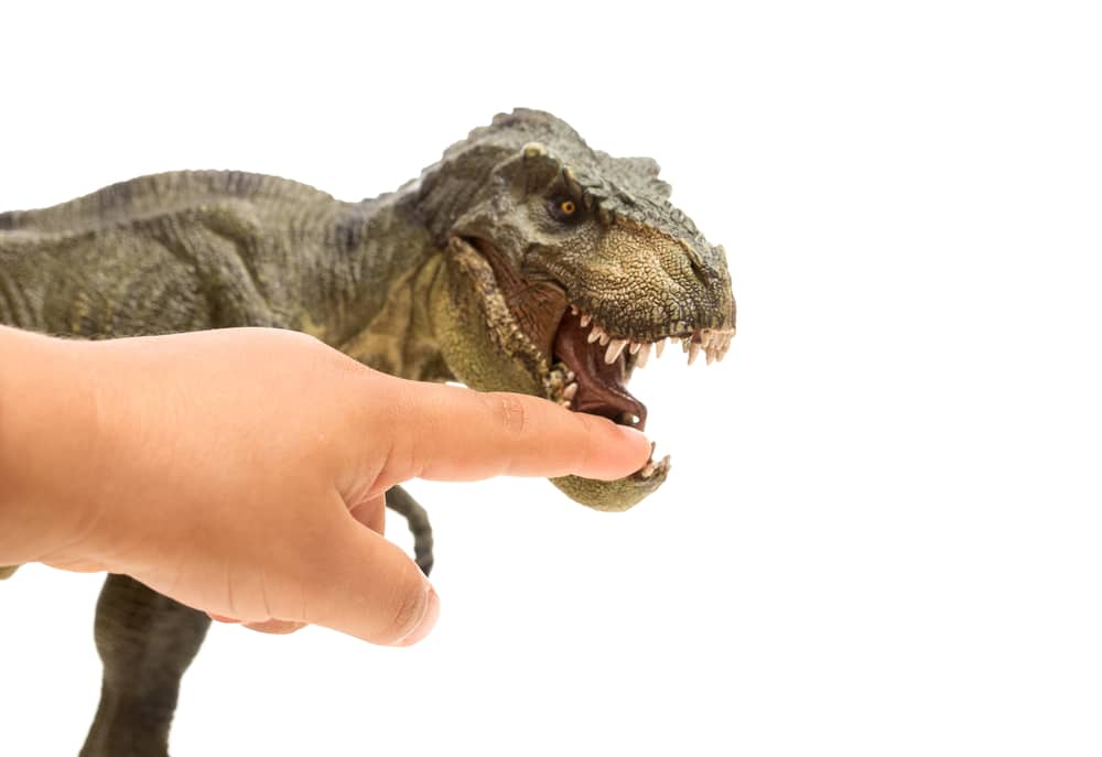 dinosaur finger