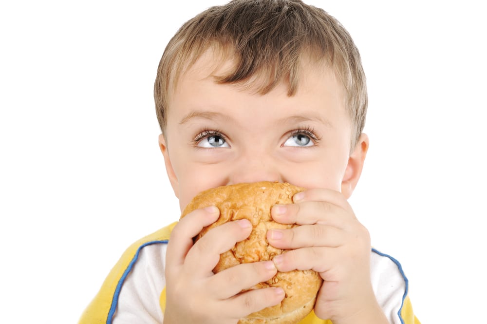 kid eat sandwich