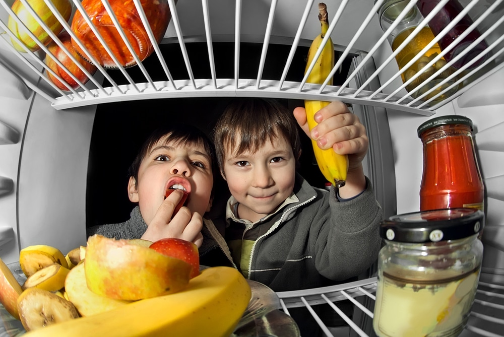 kids in fridge