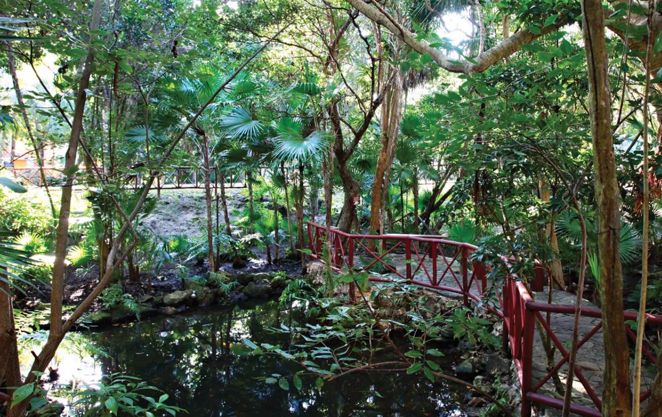 voyage dans le sud pas cher bahia principe grand coba jardins